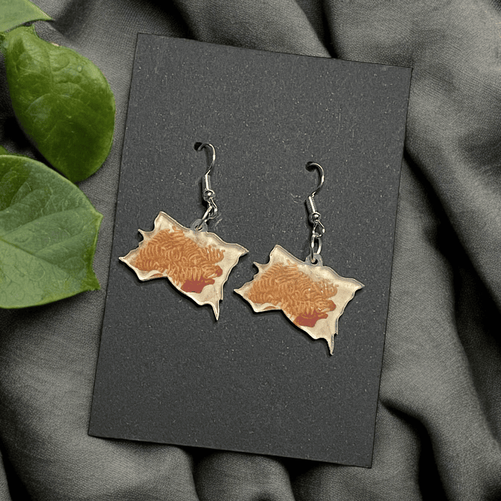 Brincos massa com frango 1