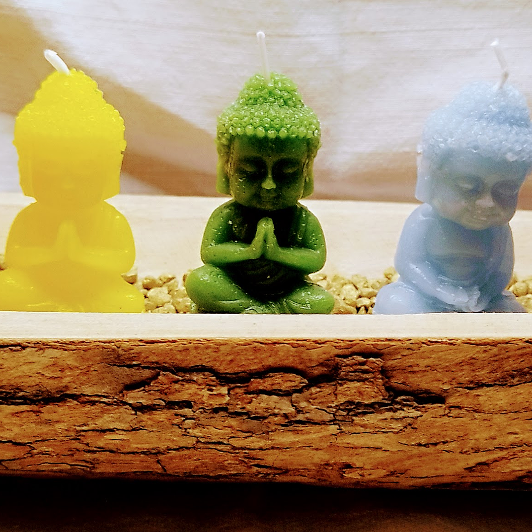 Jardim de budas 7 Chakras em tronco de madeira   2