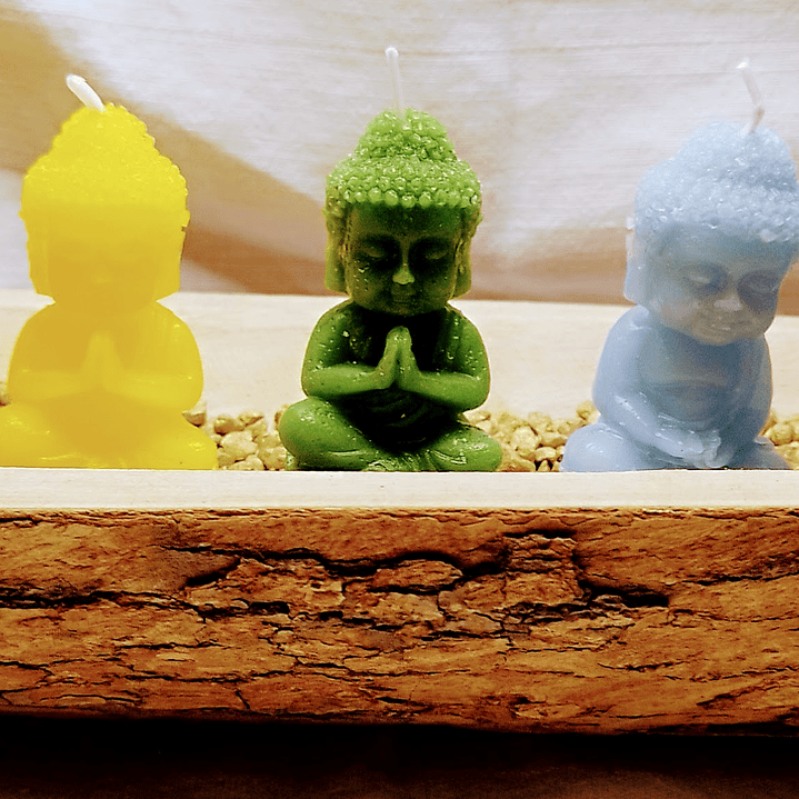 Jardim de budas 7 Chakras em tronco de madeira   2