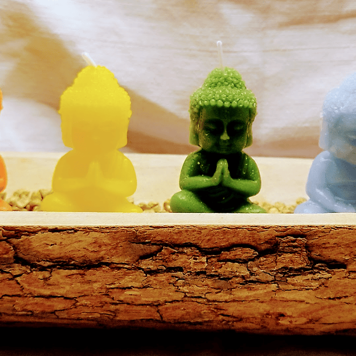 Jardim de budas 7 Chakras em tronco de madeira   4