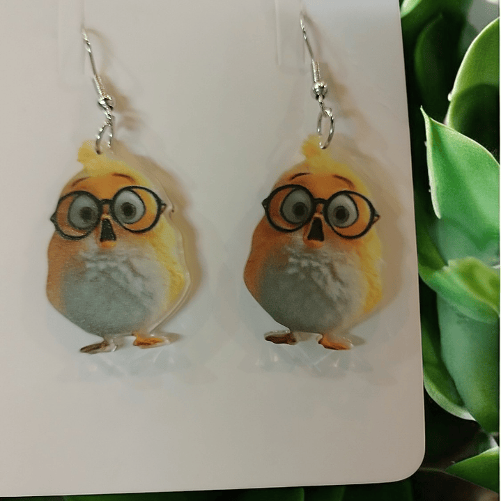 Brincos pintainhos com óculos  3