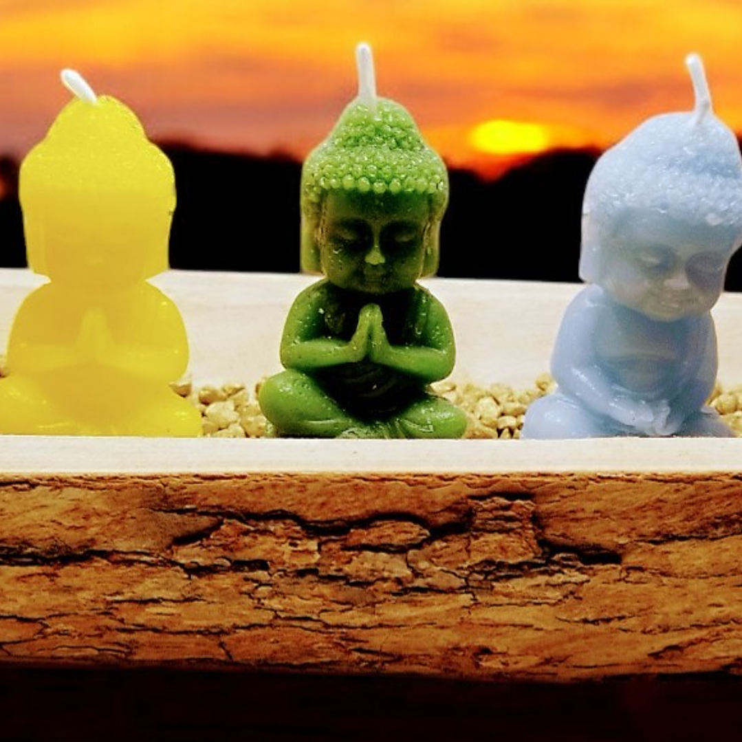 Jardim de budas 7 Chakras em tronco de madeira   1