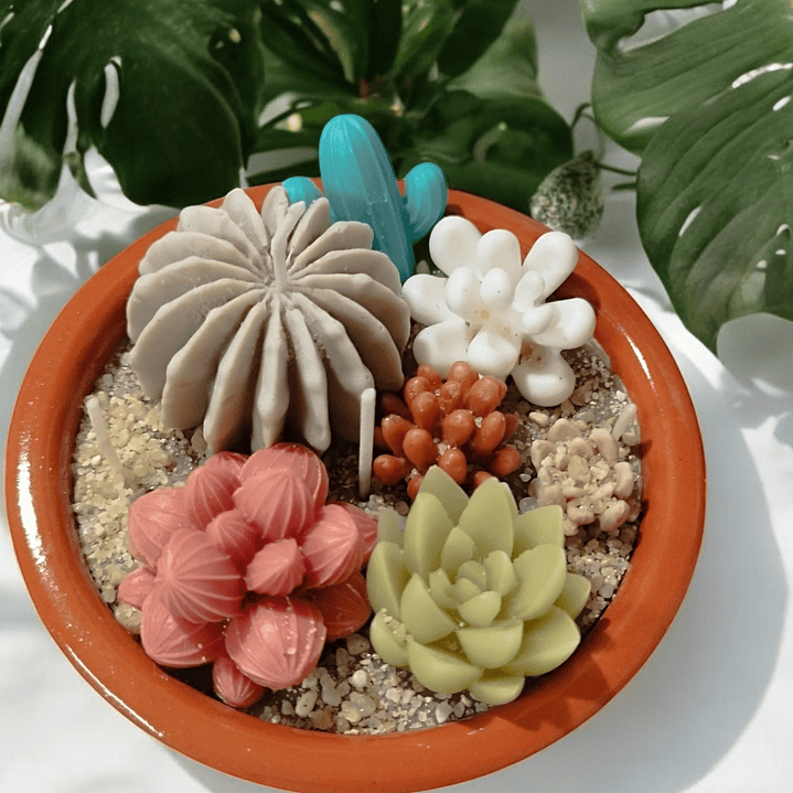 Jardim catos base em barro  1