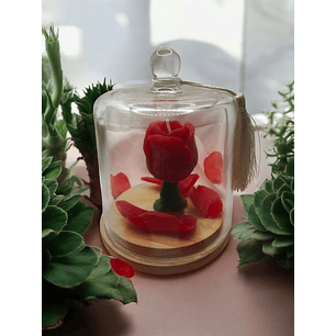 Vela Bela e o Monstro 