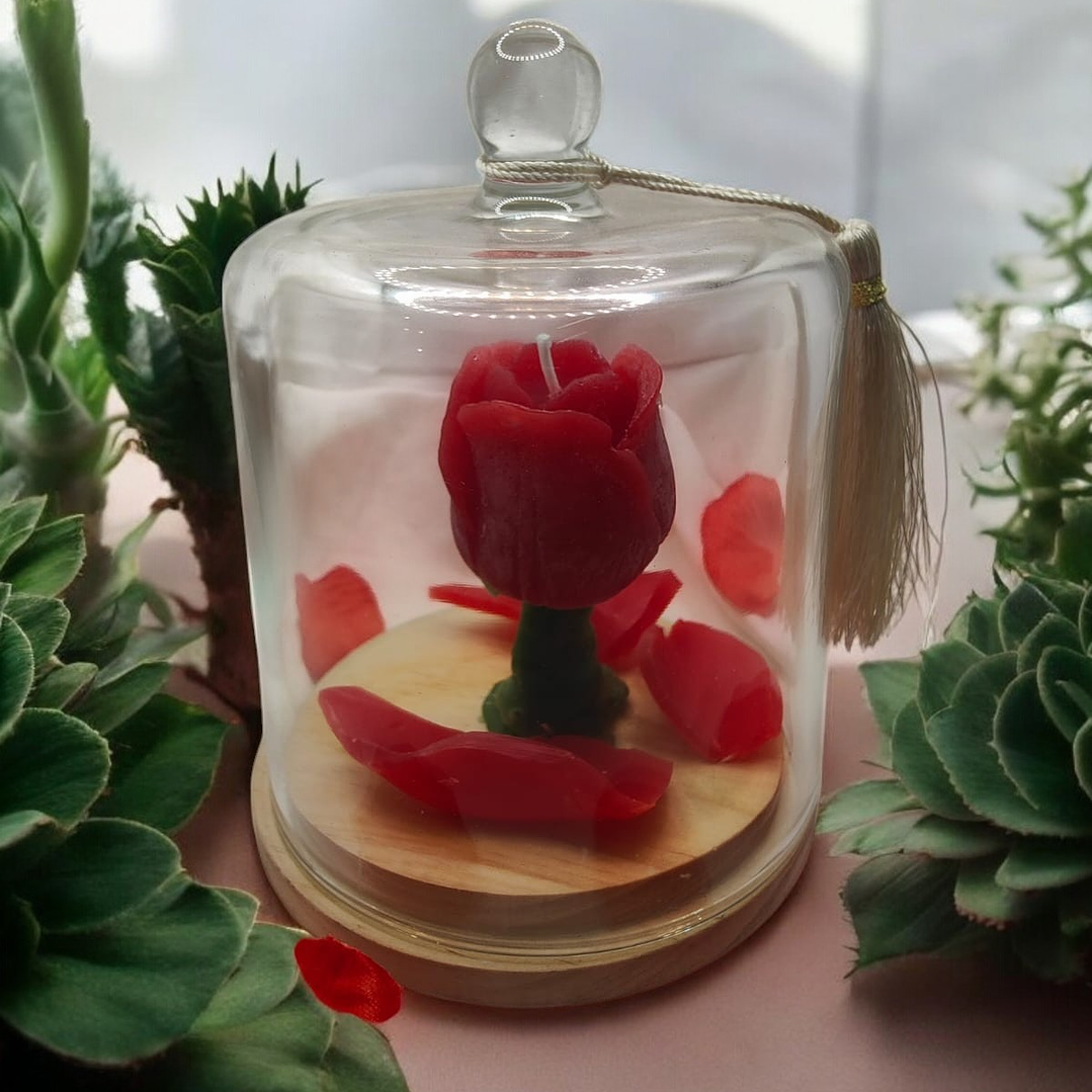 Vela Bela e o Monstro  1