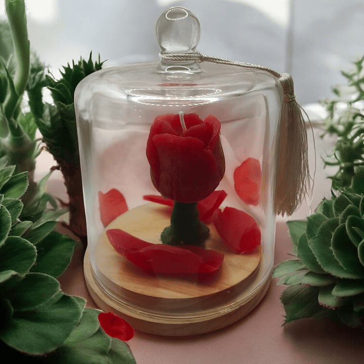 Vela Bela e o Monstro  1