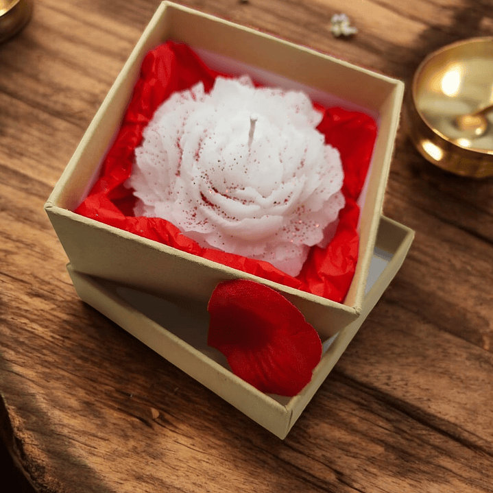 Vela flor Peônia em caixa  1
