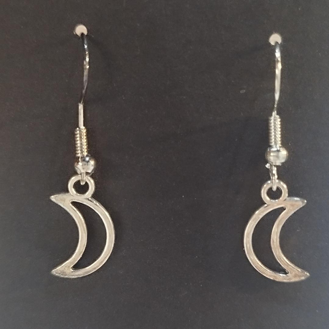 Brincos Lua 1