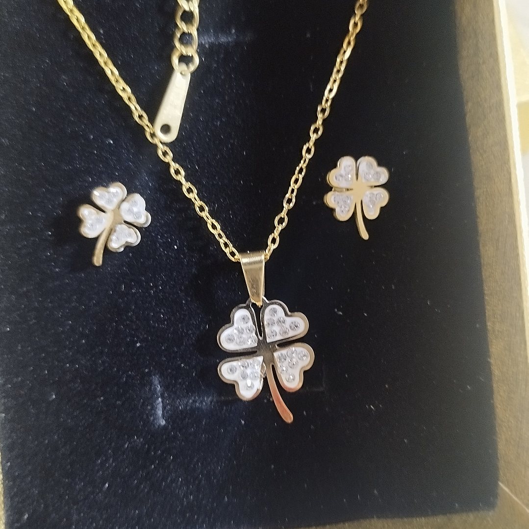 Conj. dourado trevos em aço  2