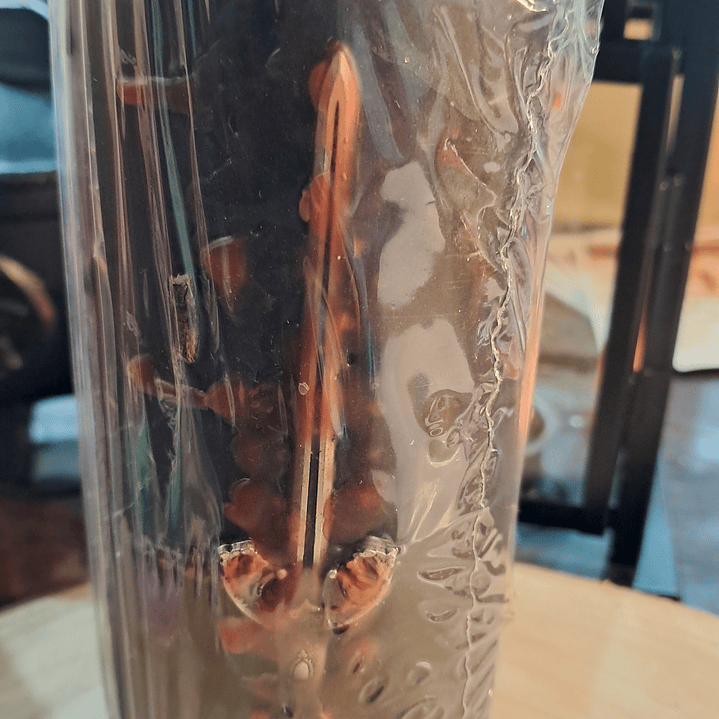 Velão Corta Amarras  2