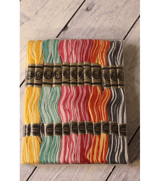 Set hilos de bordar matizados