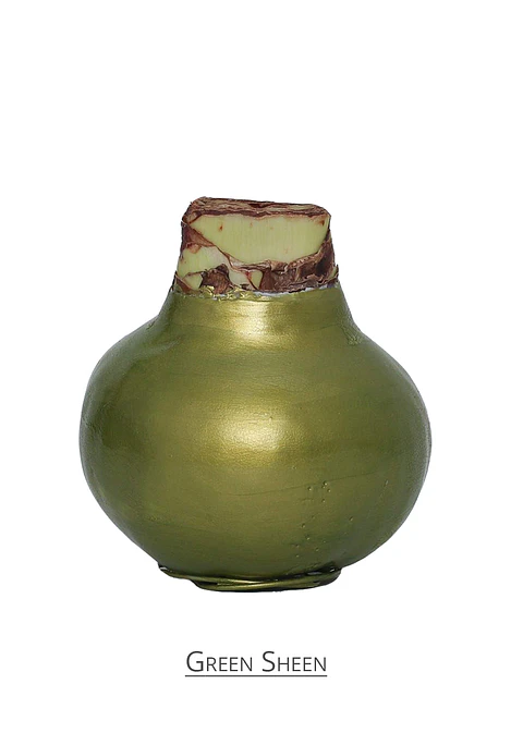 GREEN SHEEN 
