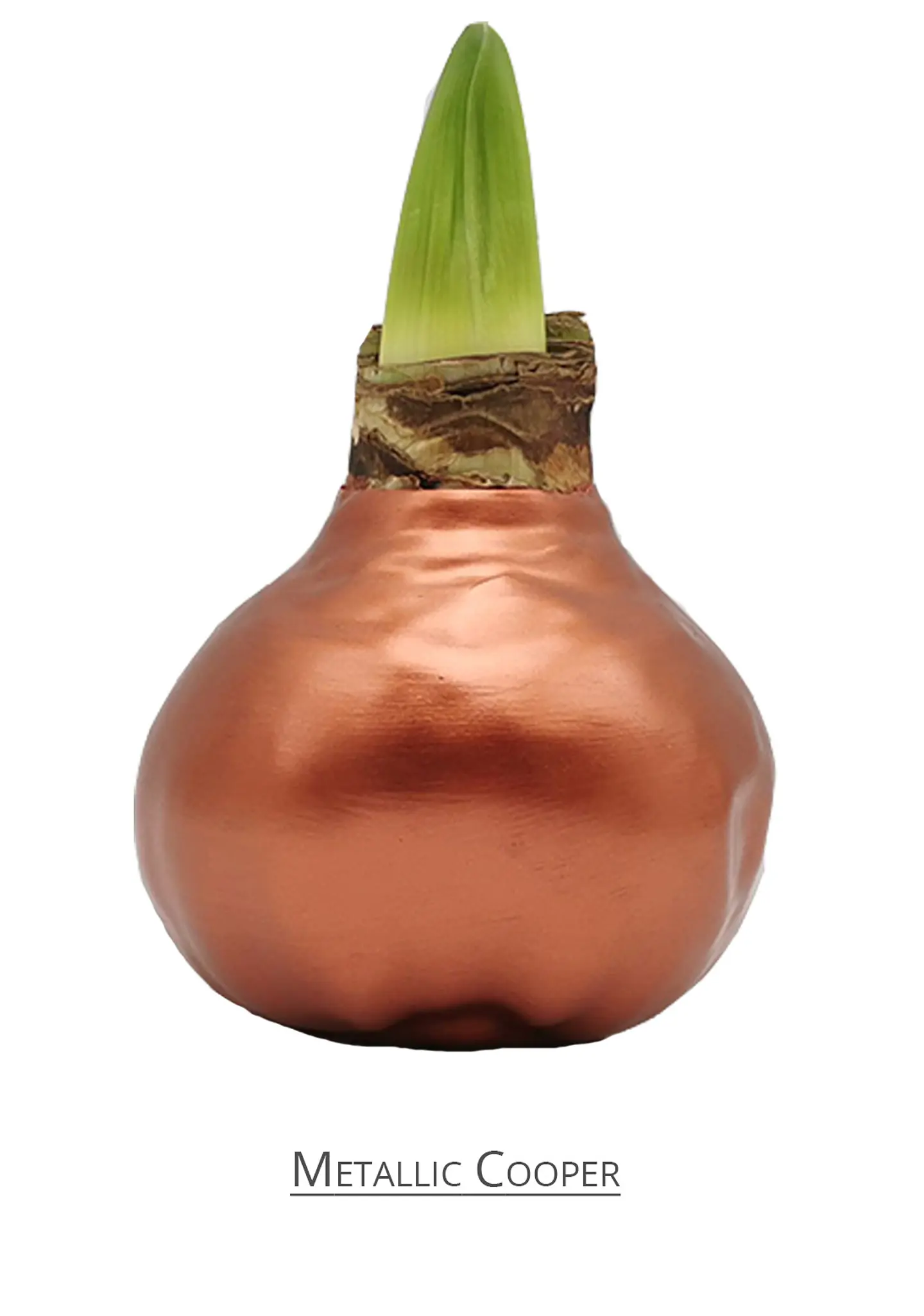 METALLIC COPPER  1