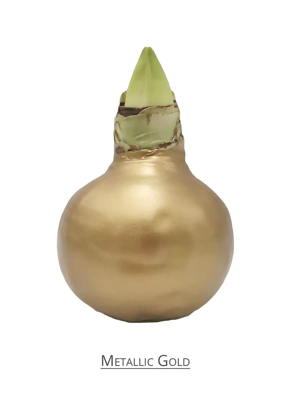 METALLIC GOLD 1