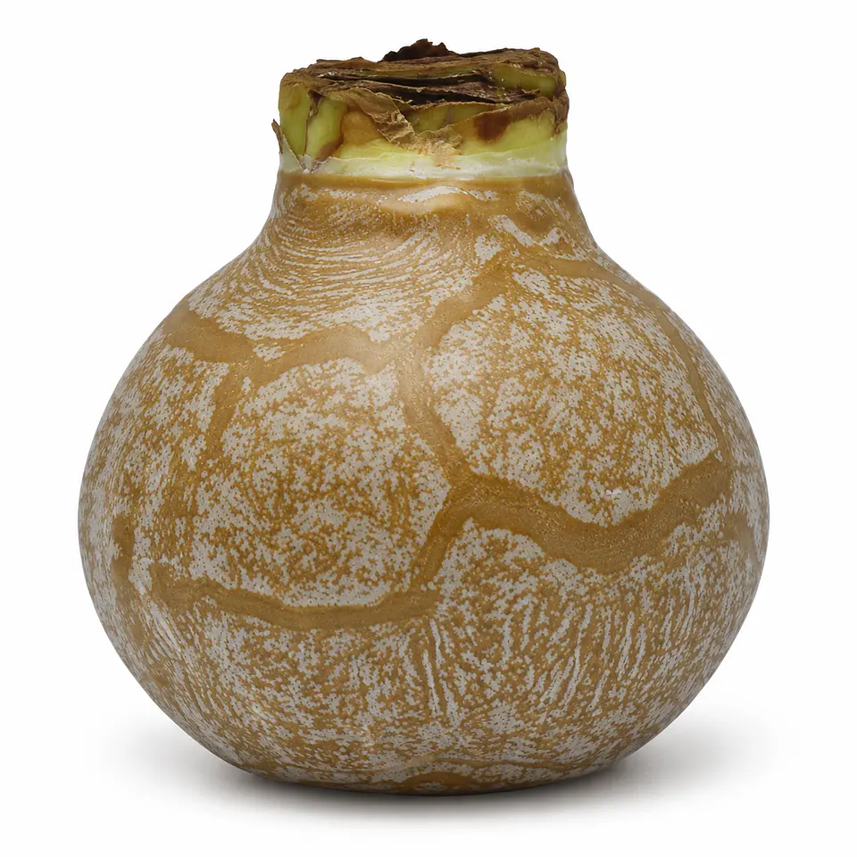GOLD MARBLE 1