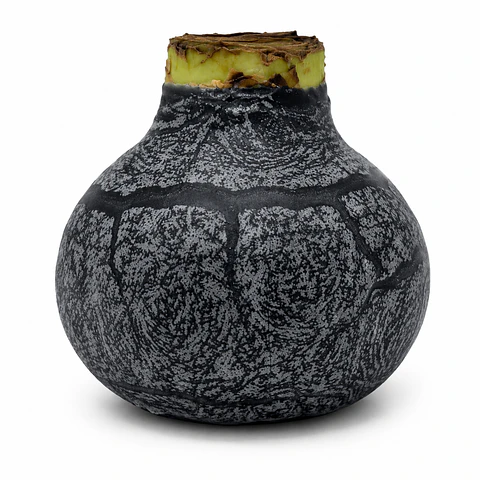 BLACK MARBLE