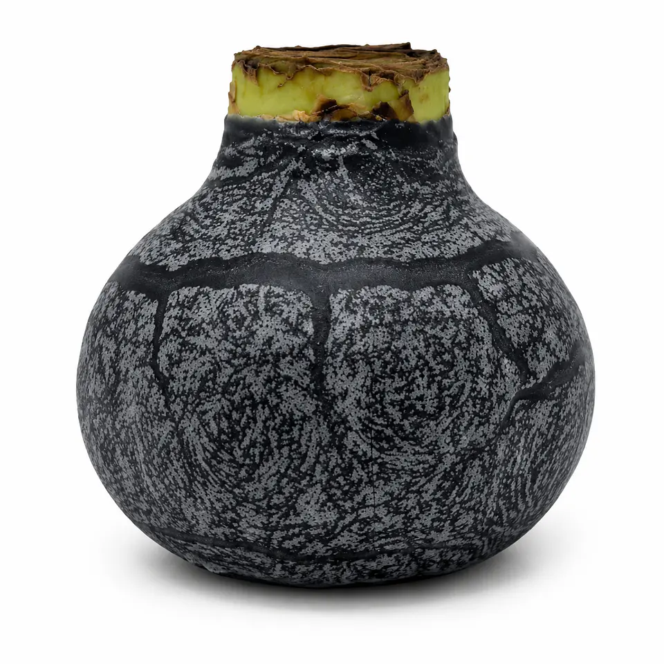 BLACK MARBLE 1
