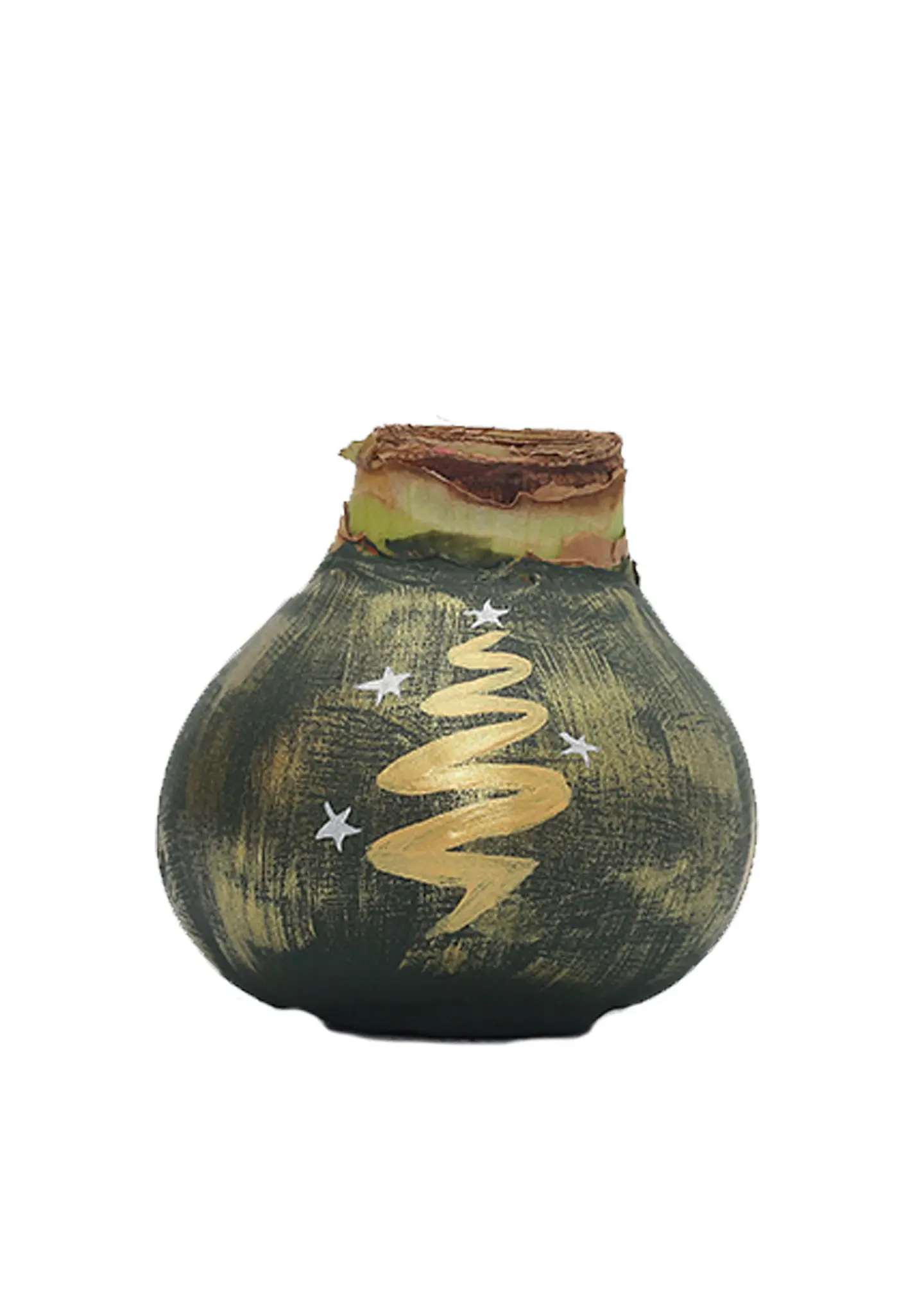 GOLDEN PINE 1