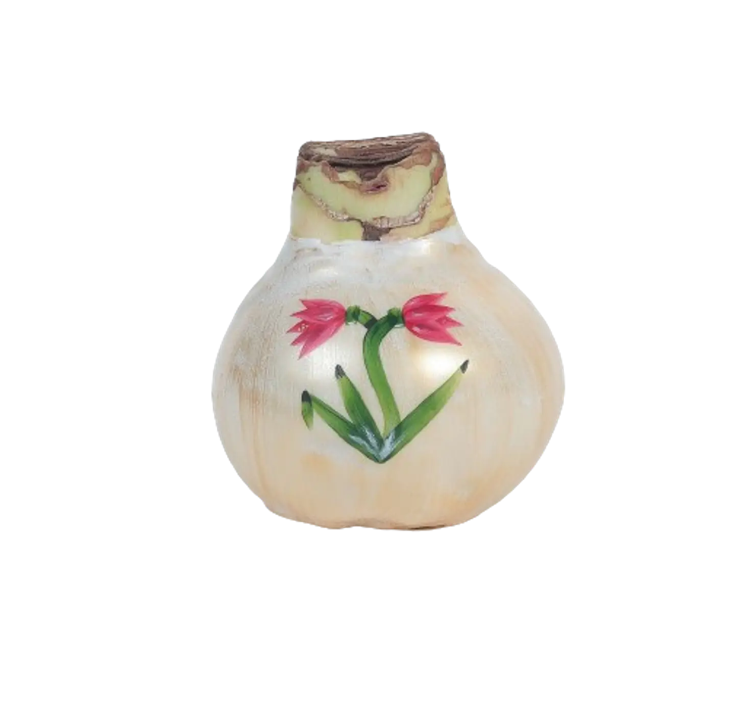 TULIPS 1