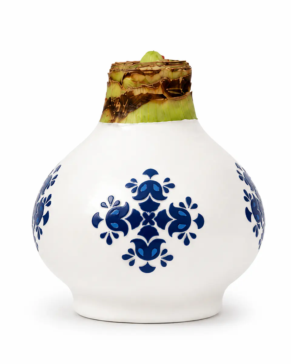 PORCELAIN-C 1