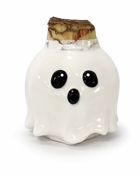 GHOST 