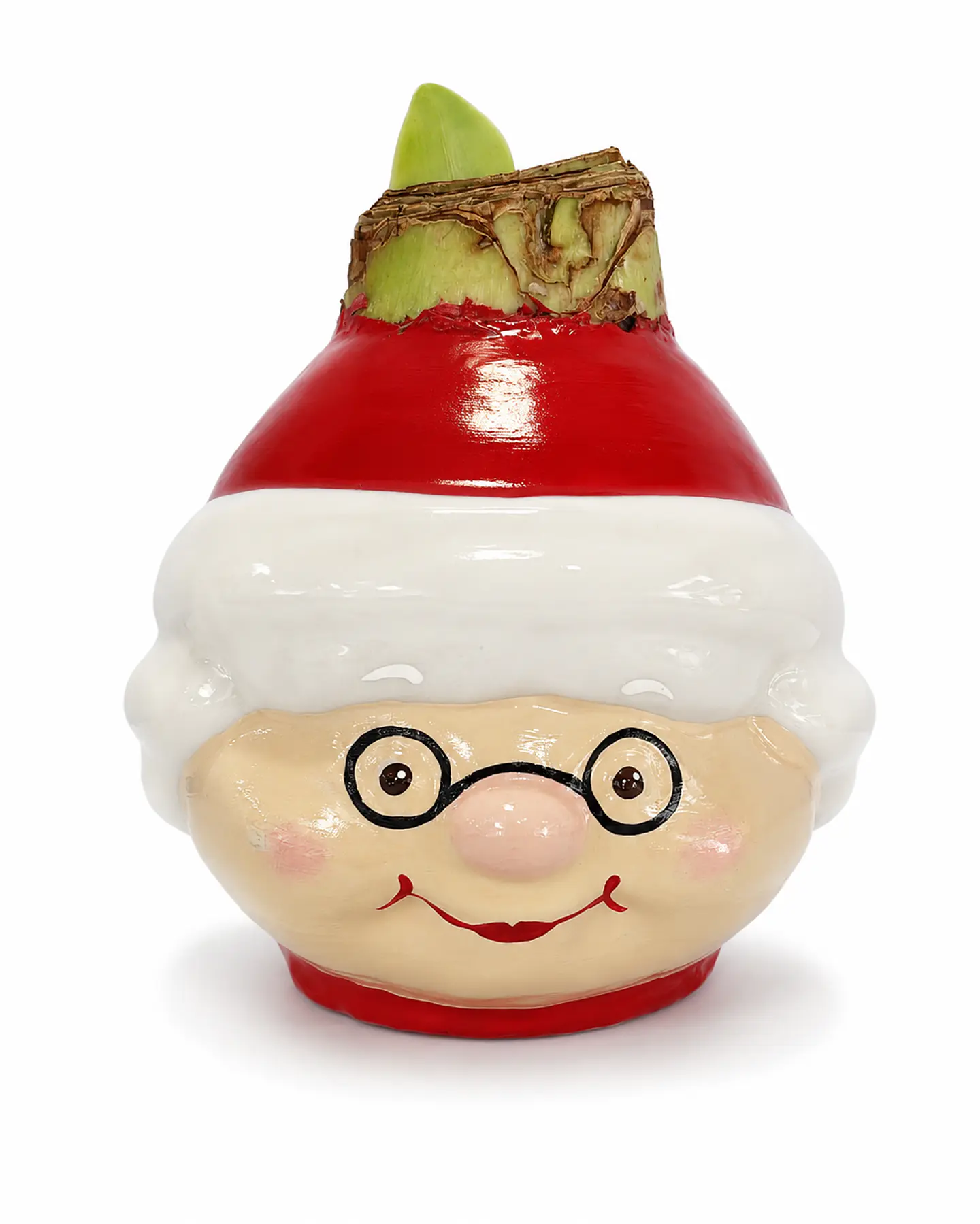 SANTA WIFE 1