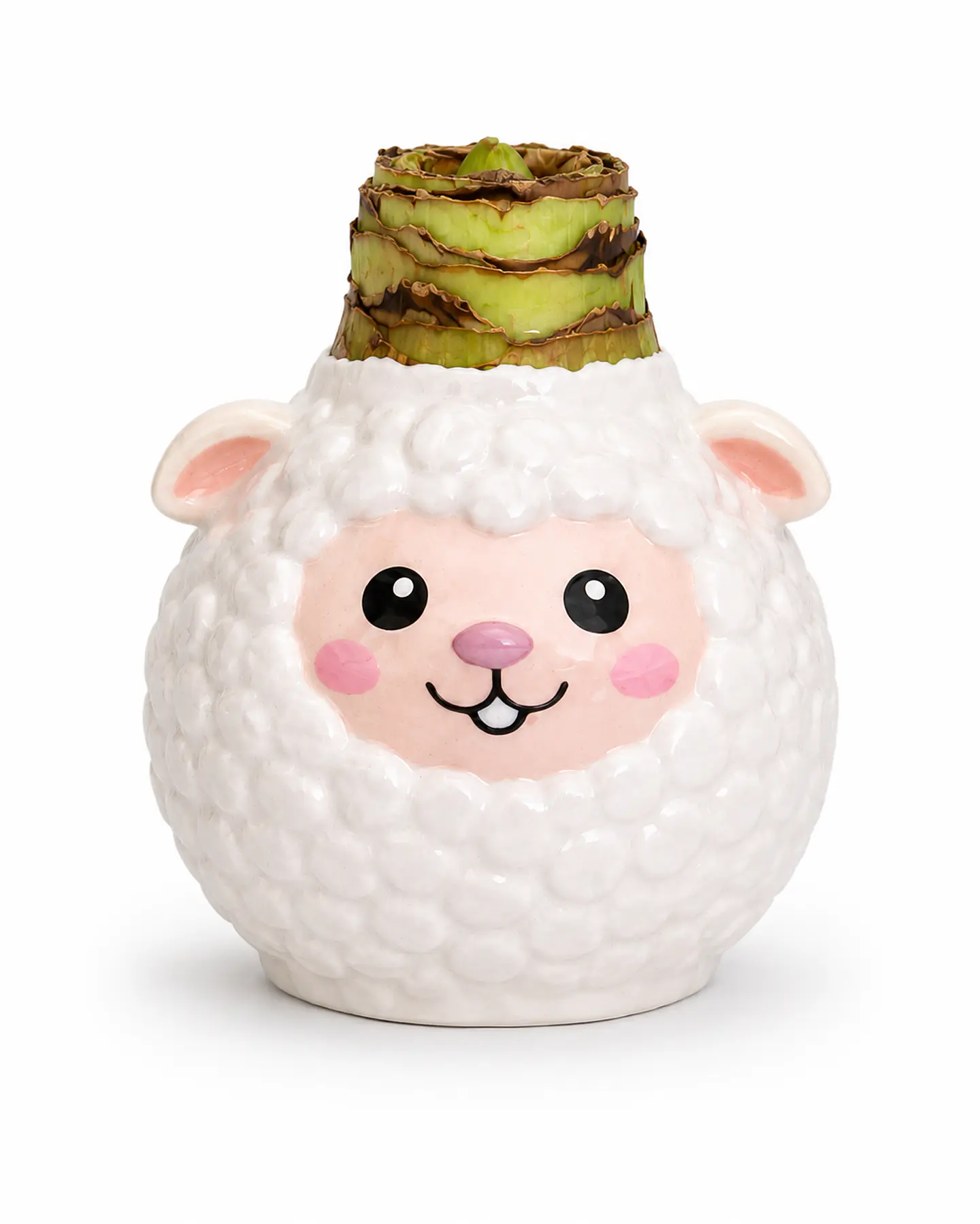 SHEEP  1