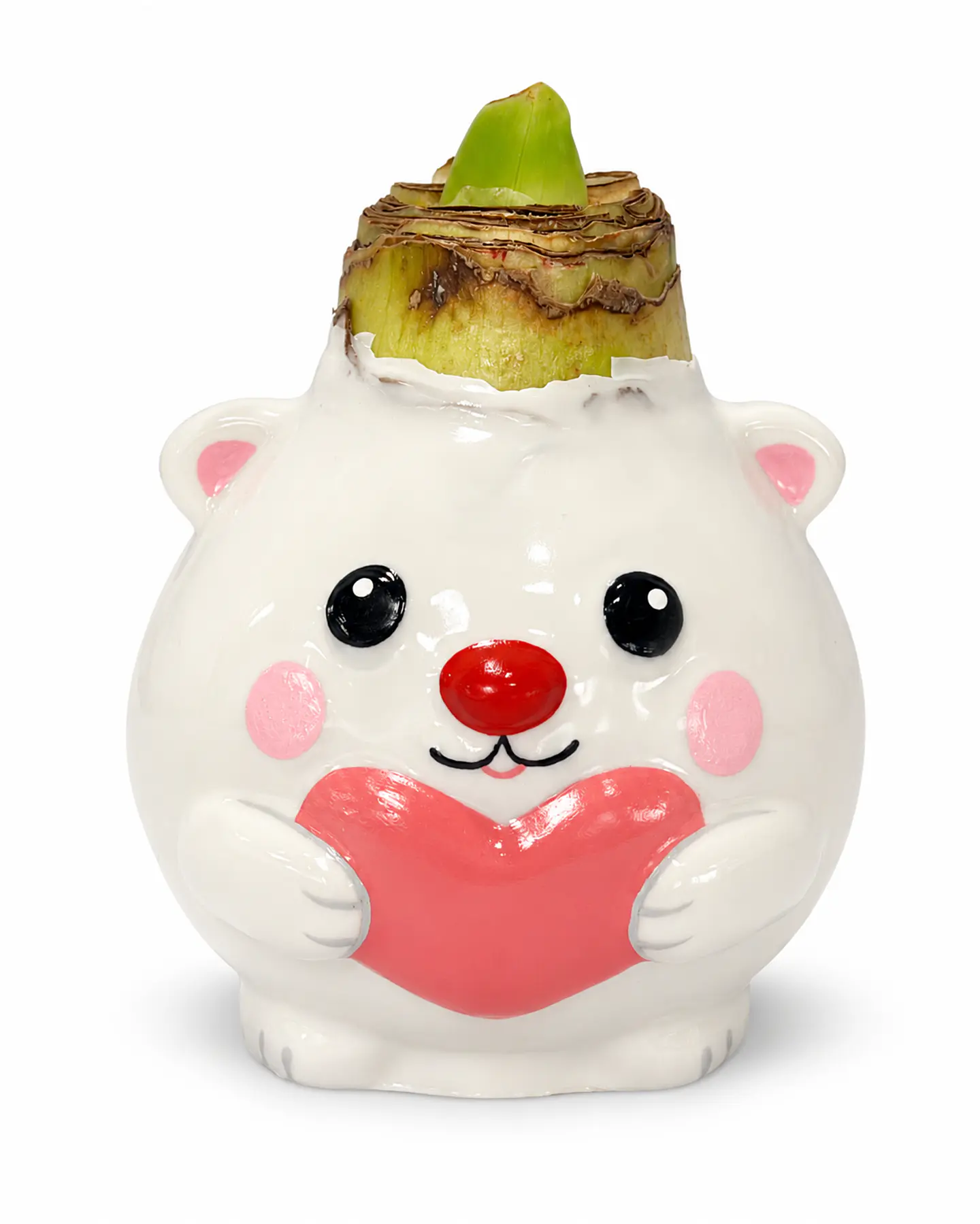 VALENTINE HEART BEAR   1