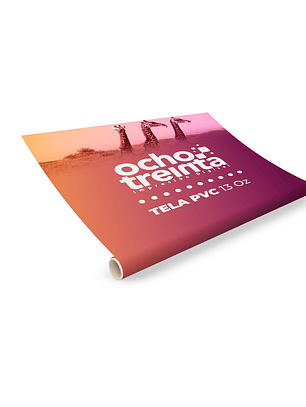 Tela PVC 13 oz (100*100 cm)