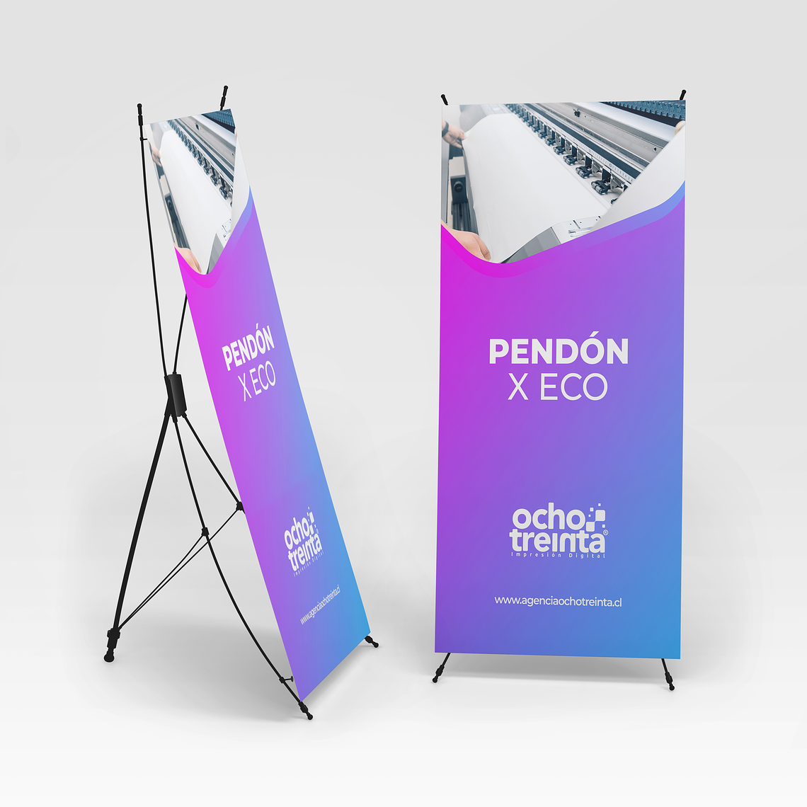 Pendon X ECO Tela PVC 1