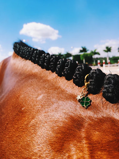 Lucky Charm - Trevo