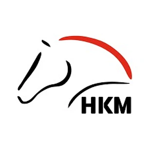MAD horses 