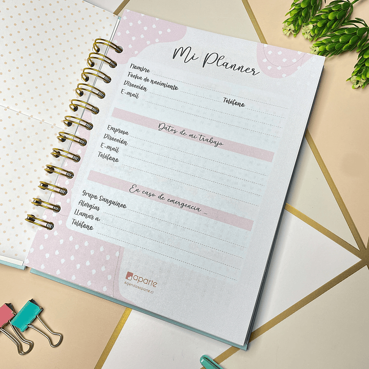 Planner personalizado golden rose 4