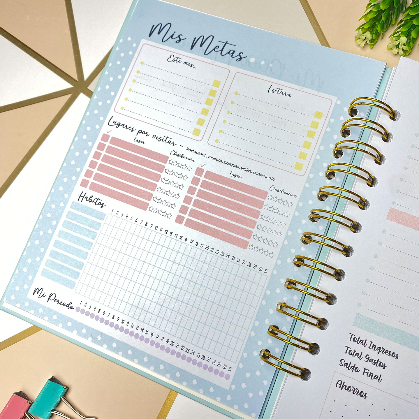 Planner personalizado golden rose 10