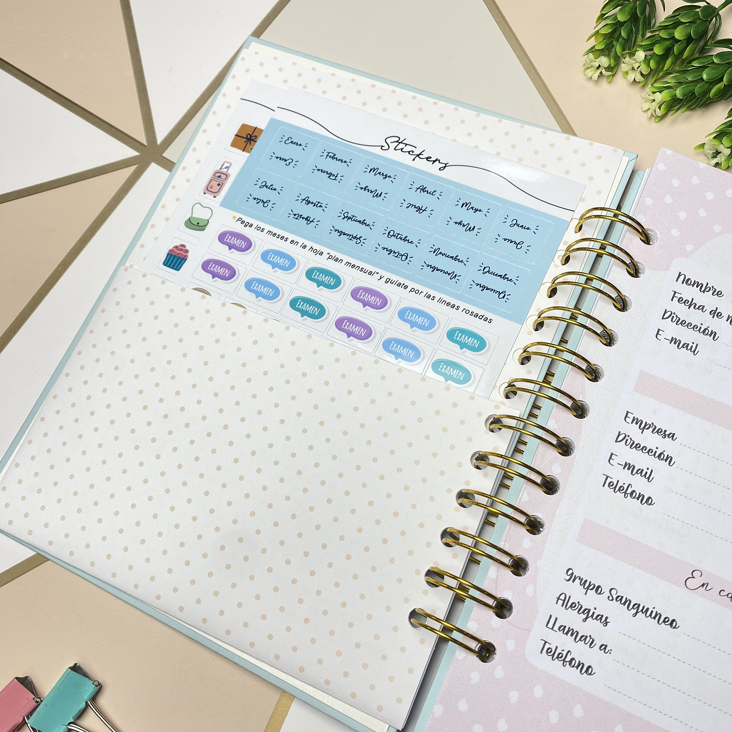 Planner personalizado con estuche para agenda diseño azul  3
