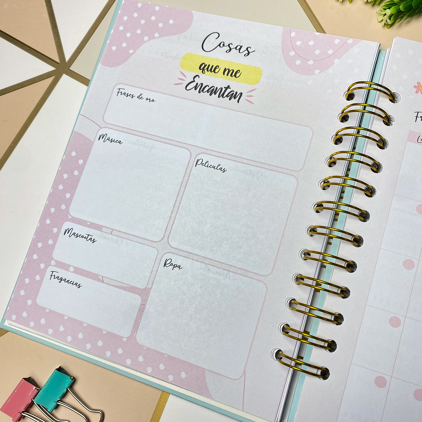 Planner personalizado con estuche para agenda diseño azul  7