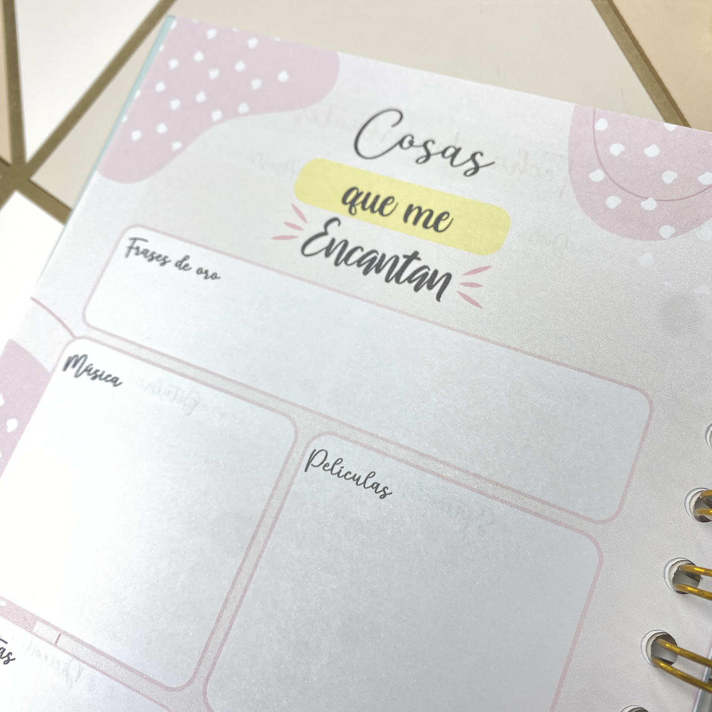 Planner personalizado con estuche para agenda diseño azul  8