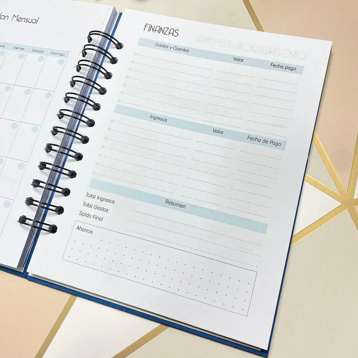 Agenda Masculina F1 Azul 5