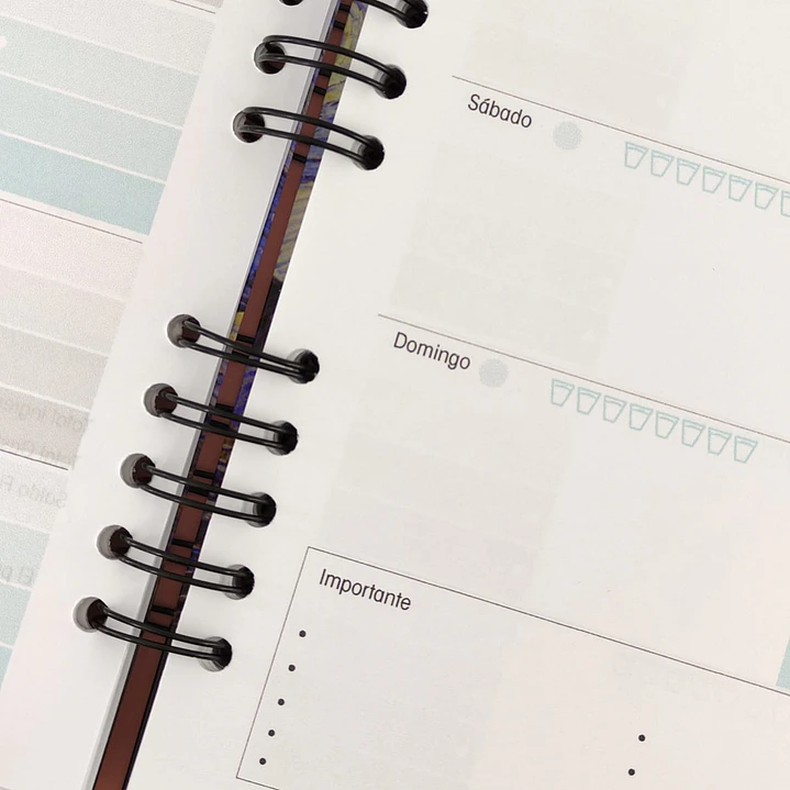 Agenda Masculina F1 Azul 7