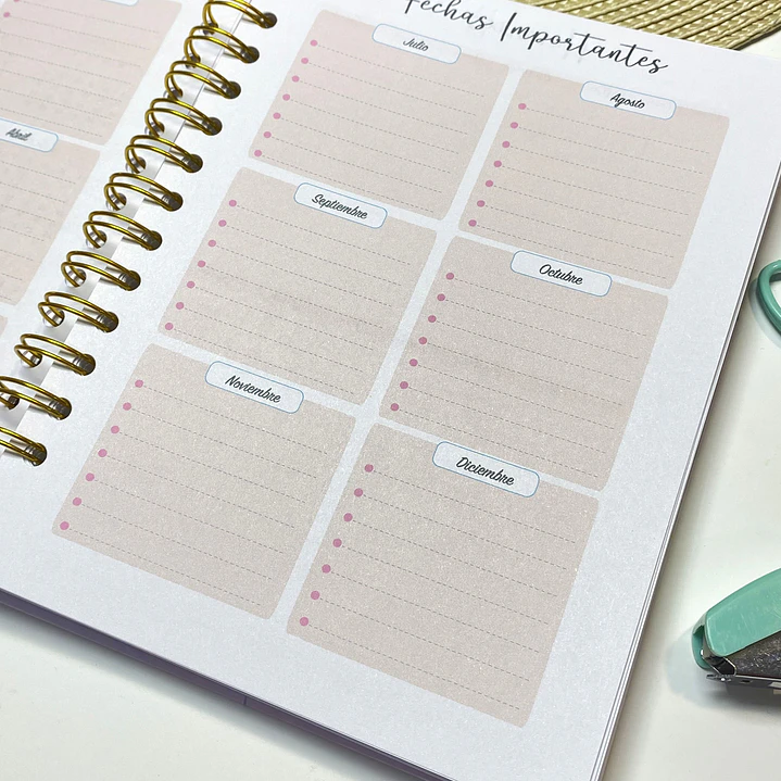 Pack 1 agenda docente 8