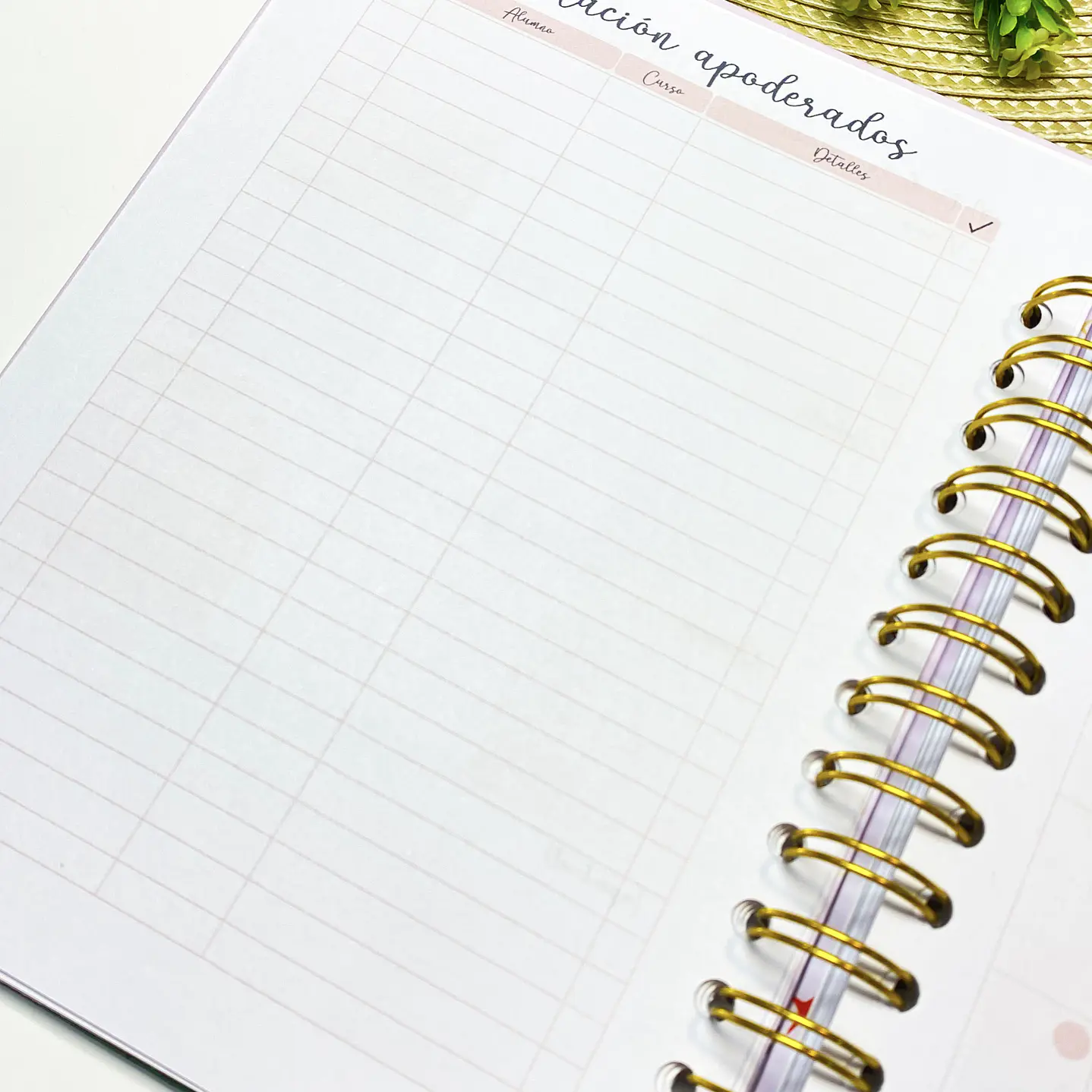 Pack 1 agenda docente 13