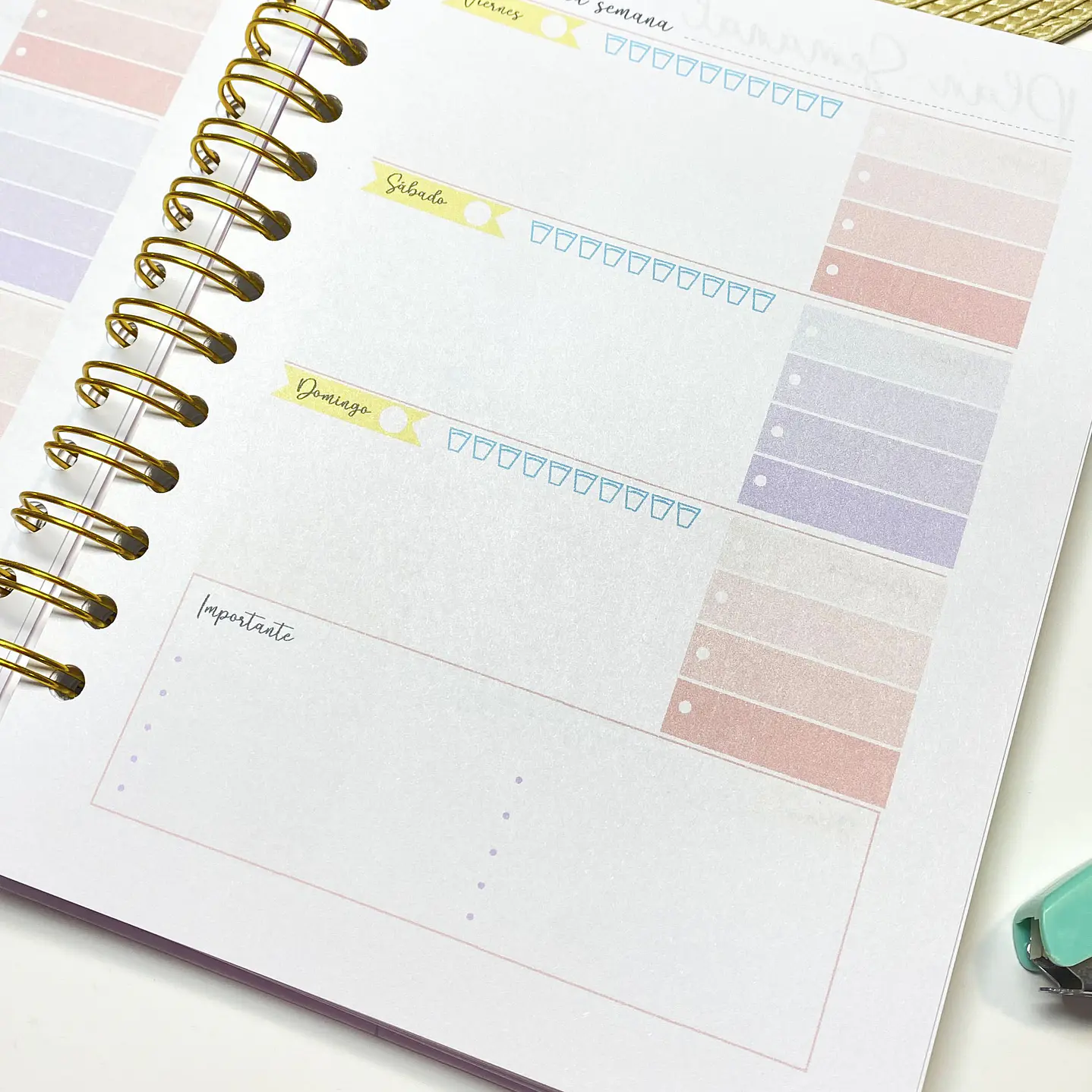 Pack full agenda docente 11