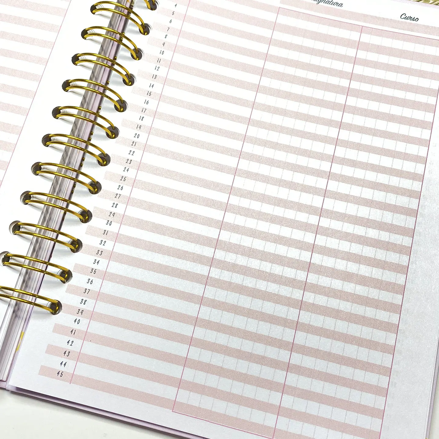 Pack full agenda docente 12