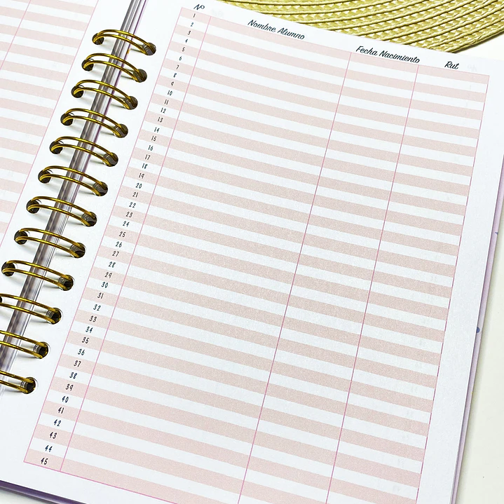 Pack full agenda docente 14