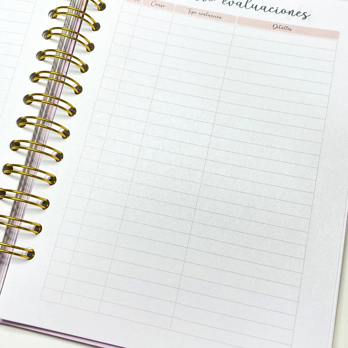 Agenda Profesora frase 11
