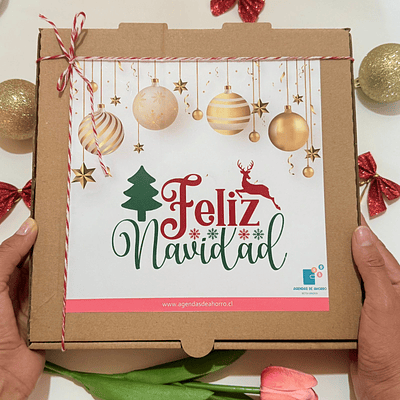 🎄NAVIDAD - AGENDA RETO DE LOS 100 SOBRES (Tapa duro)