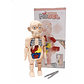 Cuerpo Humano Desmontable con Pinza - Miniatura 1