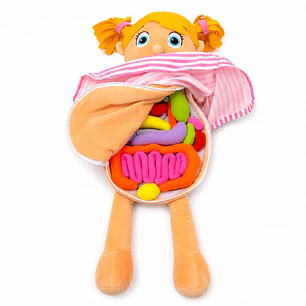 Muñeca Educativa del Cuerpo Humano