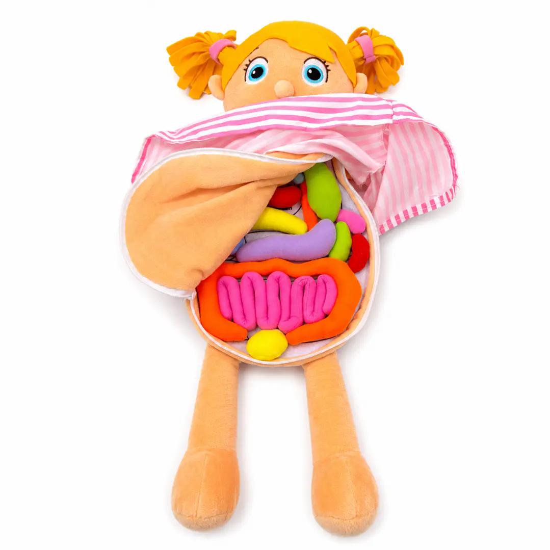 Muñeca Educativa del Cuerpo Humano 1