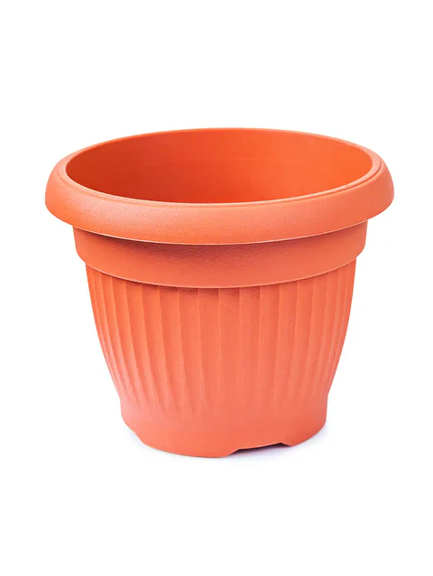 Maceta de demostración